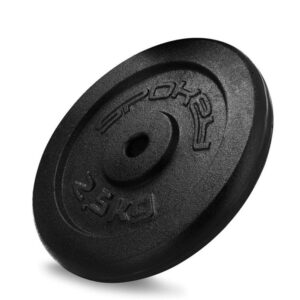 Cast Iron Weight 2.5kg Spokey Sinis SPK-944483