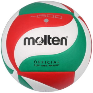 Mini Volleyball Molten V4M4500